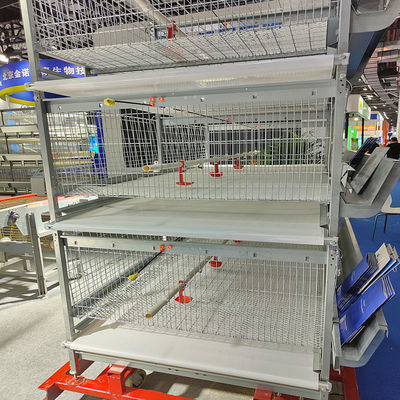 Automated H-Type Broiler Cage System Hot-Dip Galvanized High-Density Commercial Poultry Farming Equipment