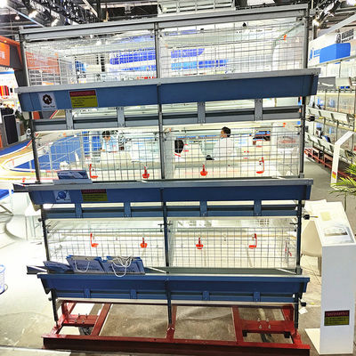 Automated H-Type Broiler Cage System with Hot-Dip Galvanized Steel for High-Density Poultry Farming