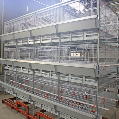 Hot Galvanized Wire Mesh Broiler Chicken Cage H Type