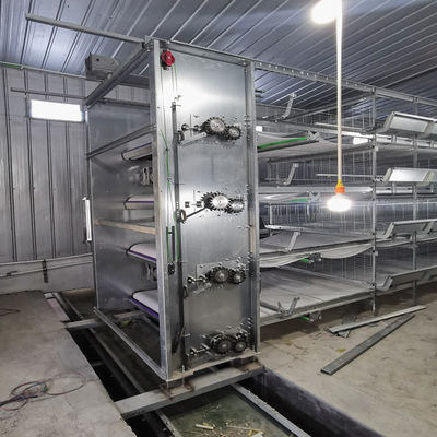Système de cage à batterie de type H avec galvanisation à chaud, mangeoire automatique et conception modulaire empilable pour les fermes commerciales