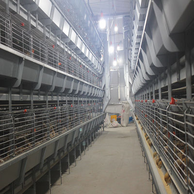Système de cages à batterie automatiques H-Type pour pondeuses avec une durée de vie de 15 à 20 ans pour l'élevage commercial de volailles - Entièrement automatisé et galvanisé à chaud