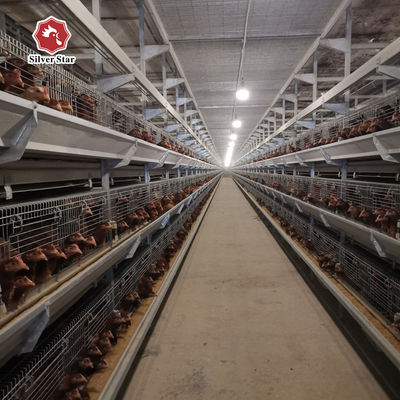 Système commercial de cage de poulets de chair de type H pour les élevages de volailles à grande échelle