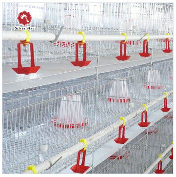 Système de cage à batterie de poulets de chair de type A pour élevage de volailles