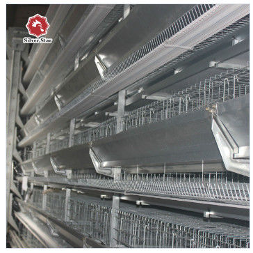 Automatic Broiler Battery Cage System Baby Chick Cage Factory Direct Factory Price