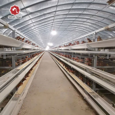 Cage à couches commerciales de type H d'un fournisseur et fabricant fiable. Livraison sûre et chargement en conteneur.