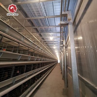 Solution clé en main pour projet de batterie H pour 50 000+ fermes avicoles