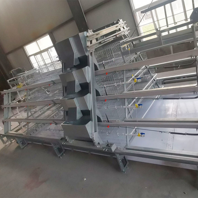 Cage de poulets de poules de type A galvanisée à chaud pour élevage automatique
